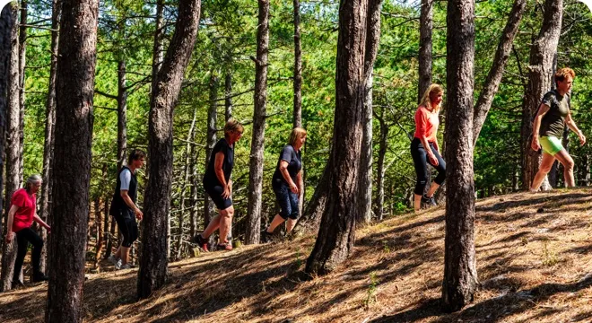Wandelbootcamp